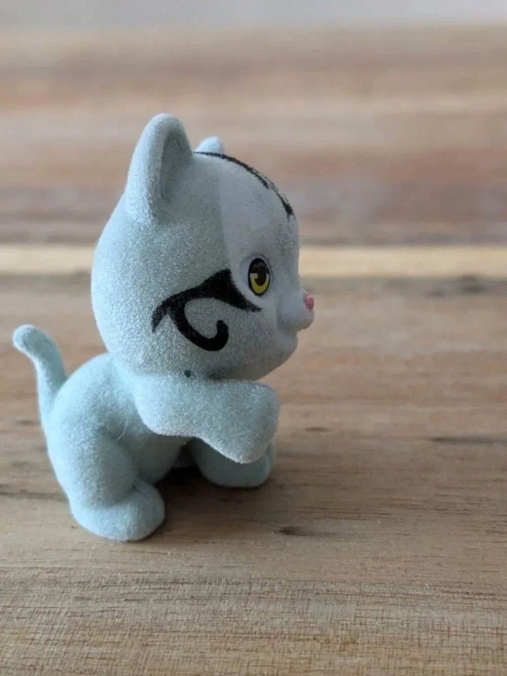 N/A kitty my